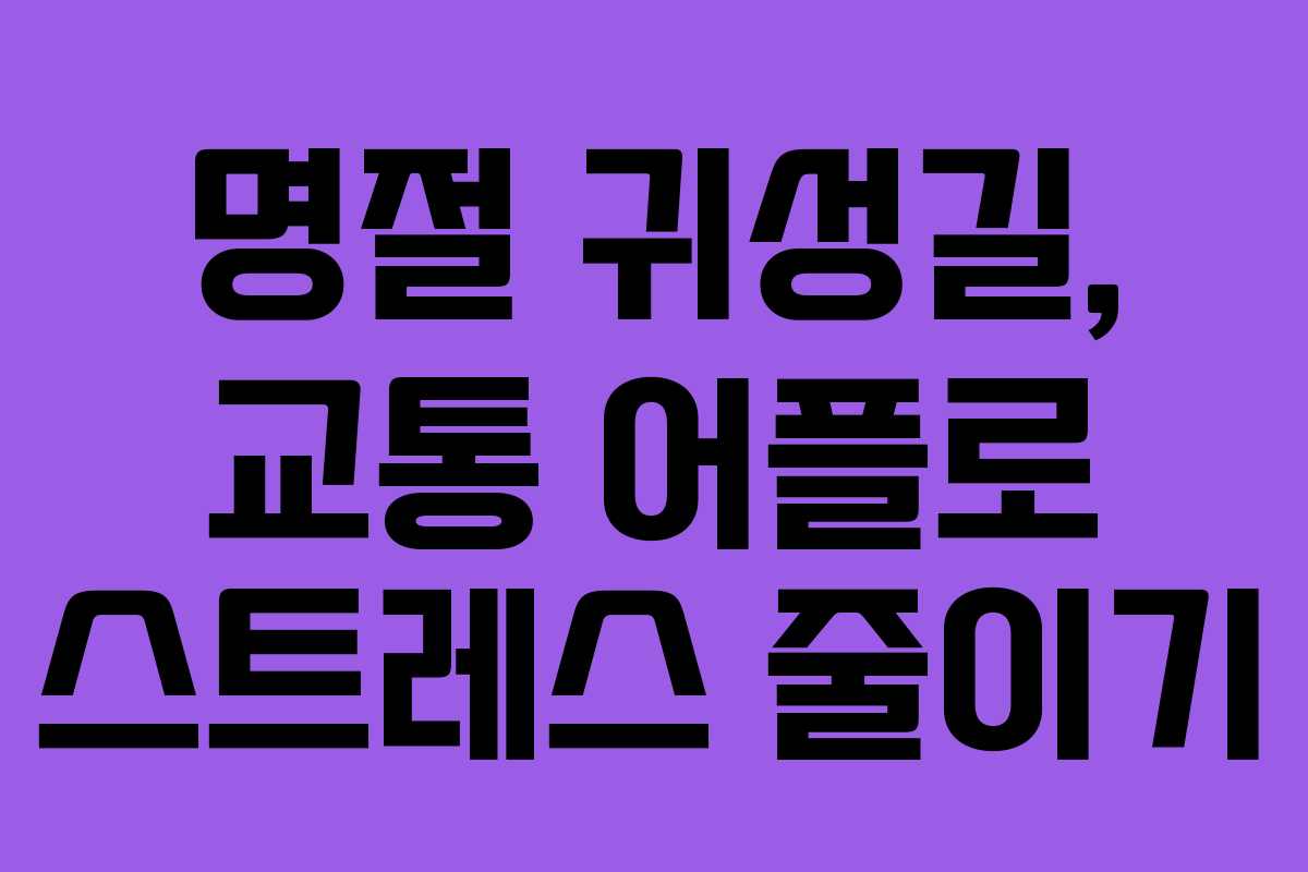 명절 귀성길, 교통 어플로 스트레스 줄이기
