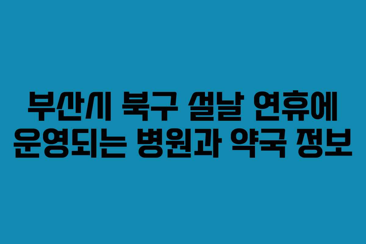 부산시 북구 설날 연휴에 운영되는 병원과 약국 정보