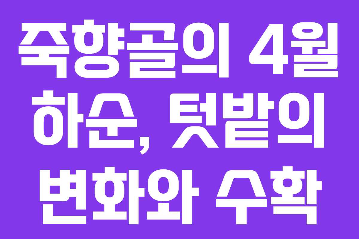 죽향골의 4월 하순, 텃밭의 변화와 수확