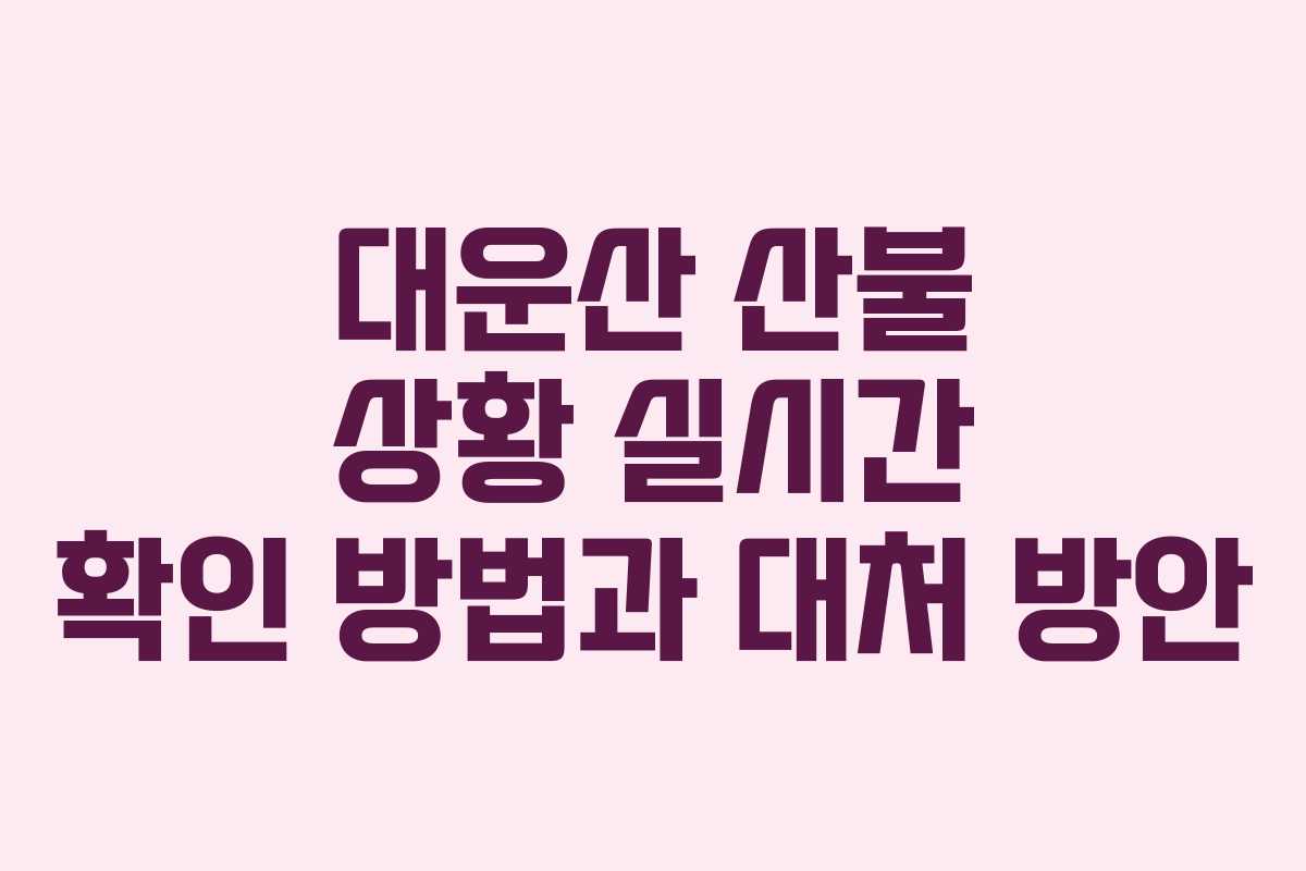 대운산 산불 상황 실시간 확인 방법과 대처 방안