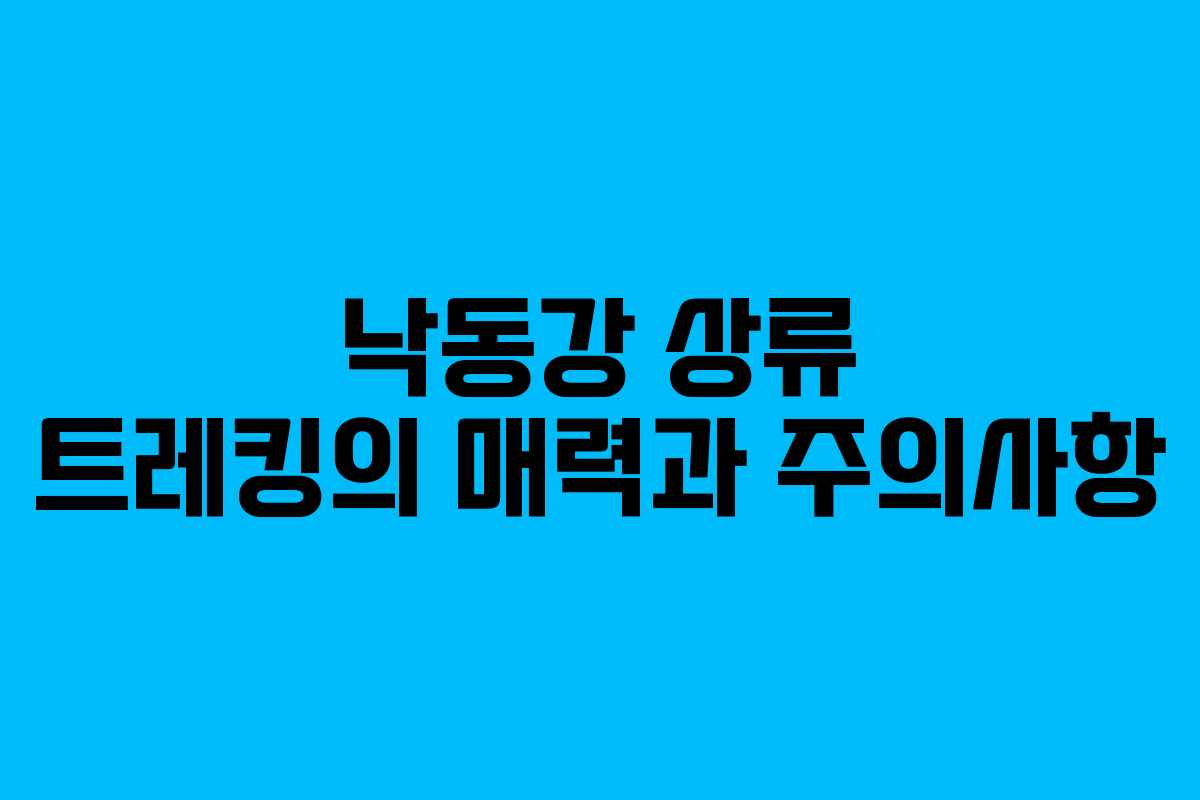 낙동강 상류 트레킹의 매력과 주의사항