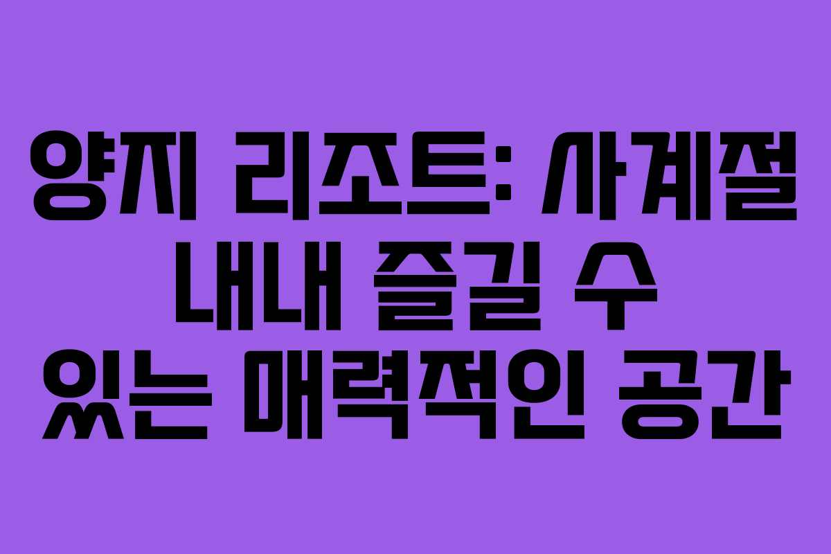 양지 리조트: 사계절 내내 즐길 수 있는 매력적인 공간