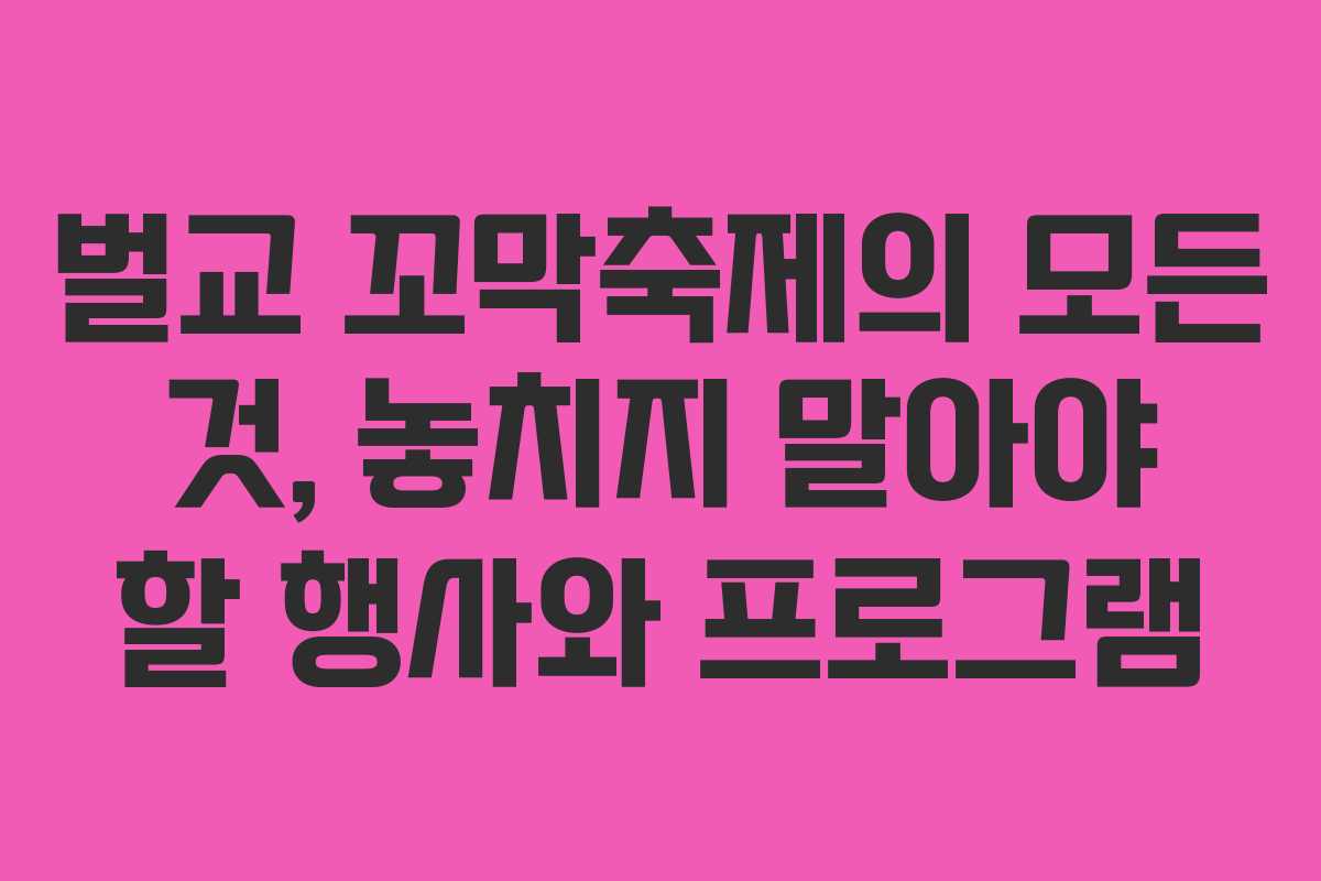 벌교 꼬막축제의 모든 것, 놓치지 말아야 할 행사와 프로그램