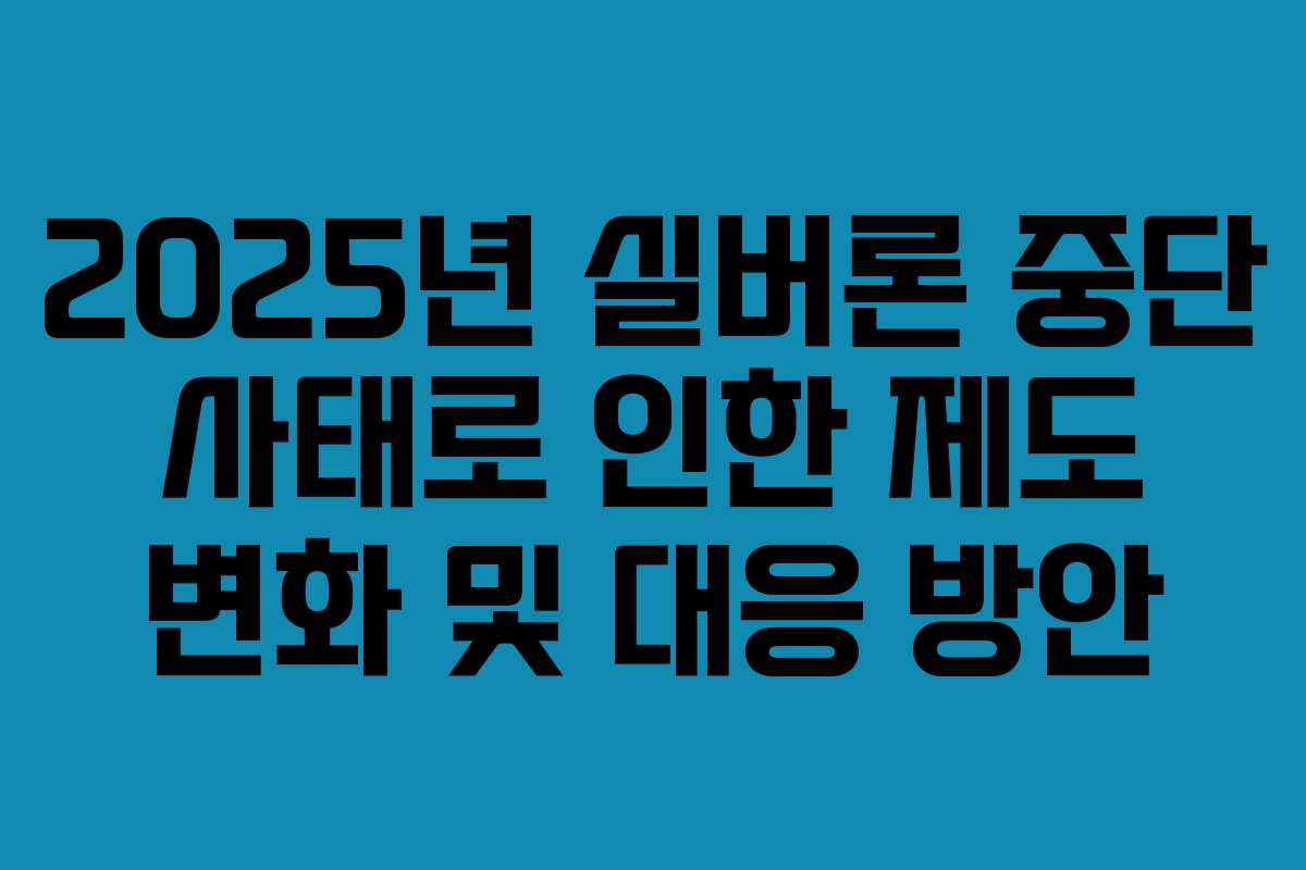 2025년 실버론 중단 사태로 인한 제도 변화 및 대응 방안