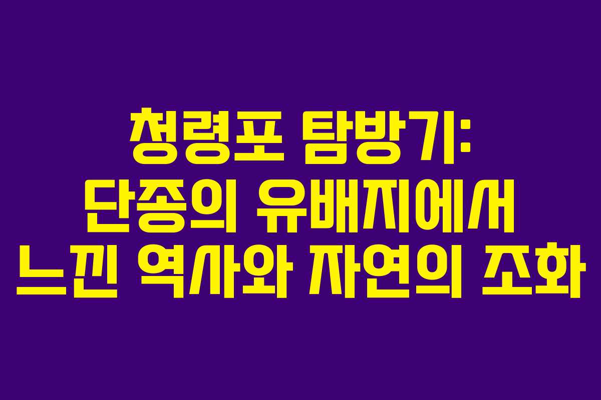 청령포 탐방기: 단종의 유배지에서 느낀 역사와 자연의 조화