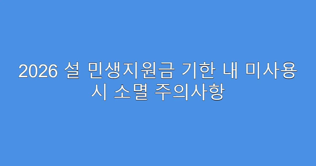 2026 설 민생지원금 기한 내 미사용 시 소멸 주의사항