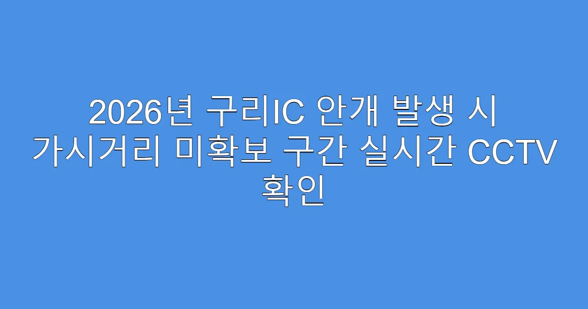2026년 구리IC 안개 발생 시 가시거리 미확보 구간 실시간 CCTV 확인
