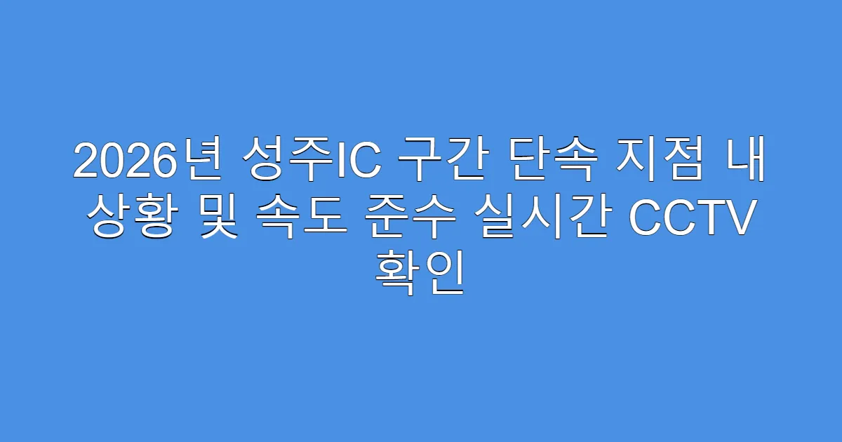 2026년 성주IC 구간 단속 지점 내 상황 및 속도 준수 실시간 CCTV 확인