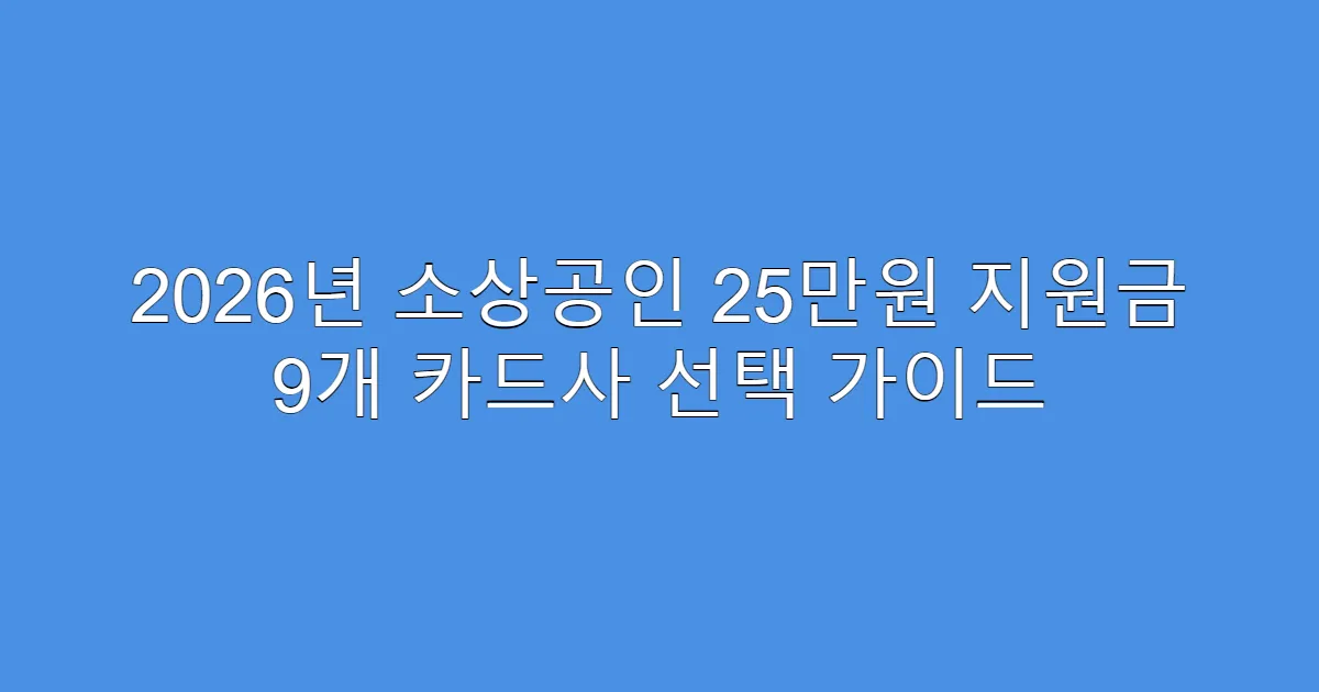 2026년 소상공인 25만원 지원금 9개 카드사 선택 가이드