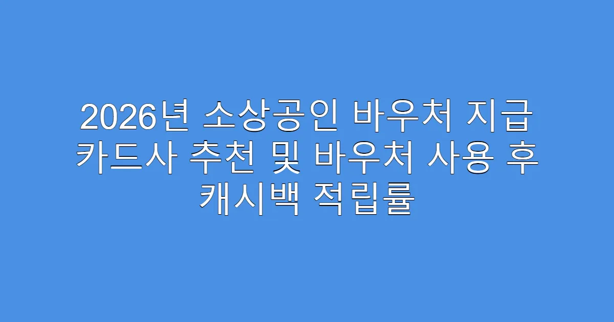 2026년 소상공인 바우처 지급 카드사 추천 및 바우처 사용 후 캐시백 적립률