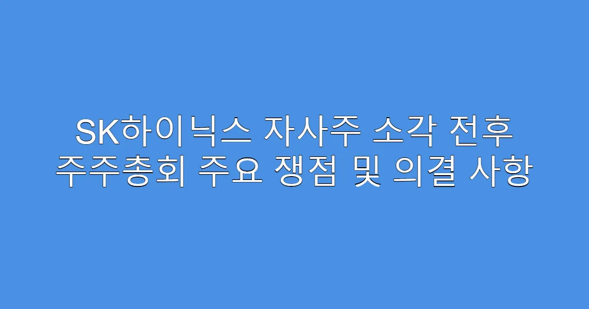 SK하이닉스 자사주 소각 전후 주주총회 주요 쟁점 및 의결 사항