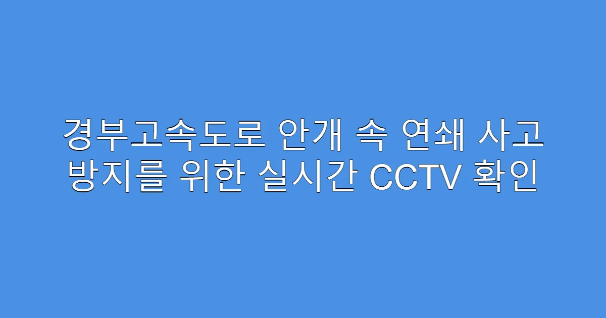 경부고속도로 안개 속 연쇄 사고 방지를 위한 실시간 CCTV 확인