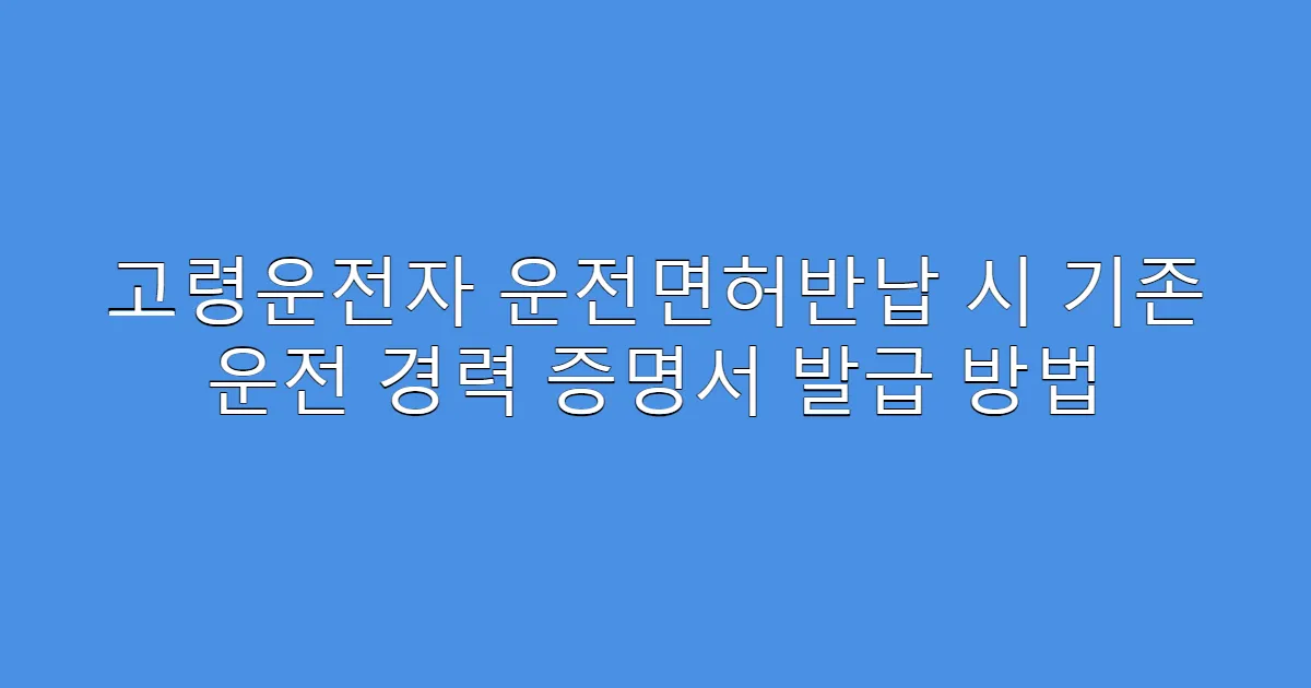 고령운전자 운전면허반납 시 기존 운전 경력 증명서 발급 방법