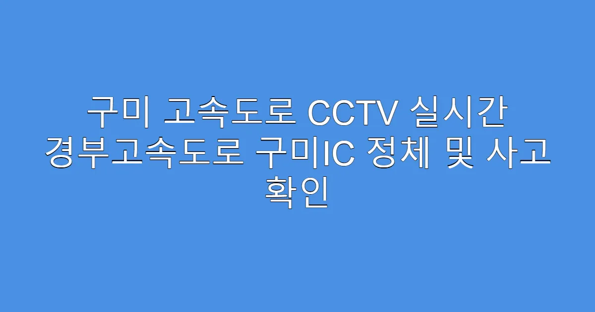 구미 고속도로 CCTV 실시간 경부고속도로 구미IC 정체 및 사고 확인