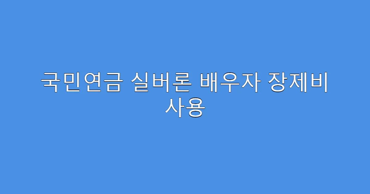 국민연금 실버론 배우자 장제비 사용