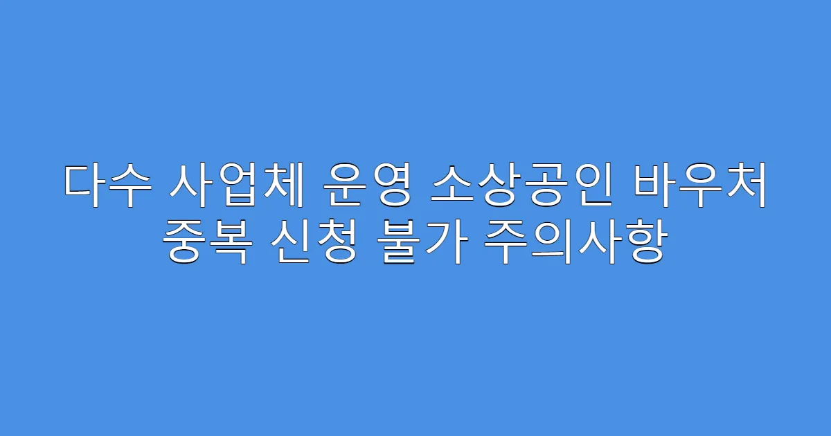 다수 사업체 운영 소상공인 바우처 중복 신청 불가 주의사항