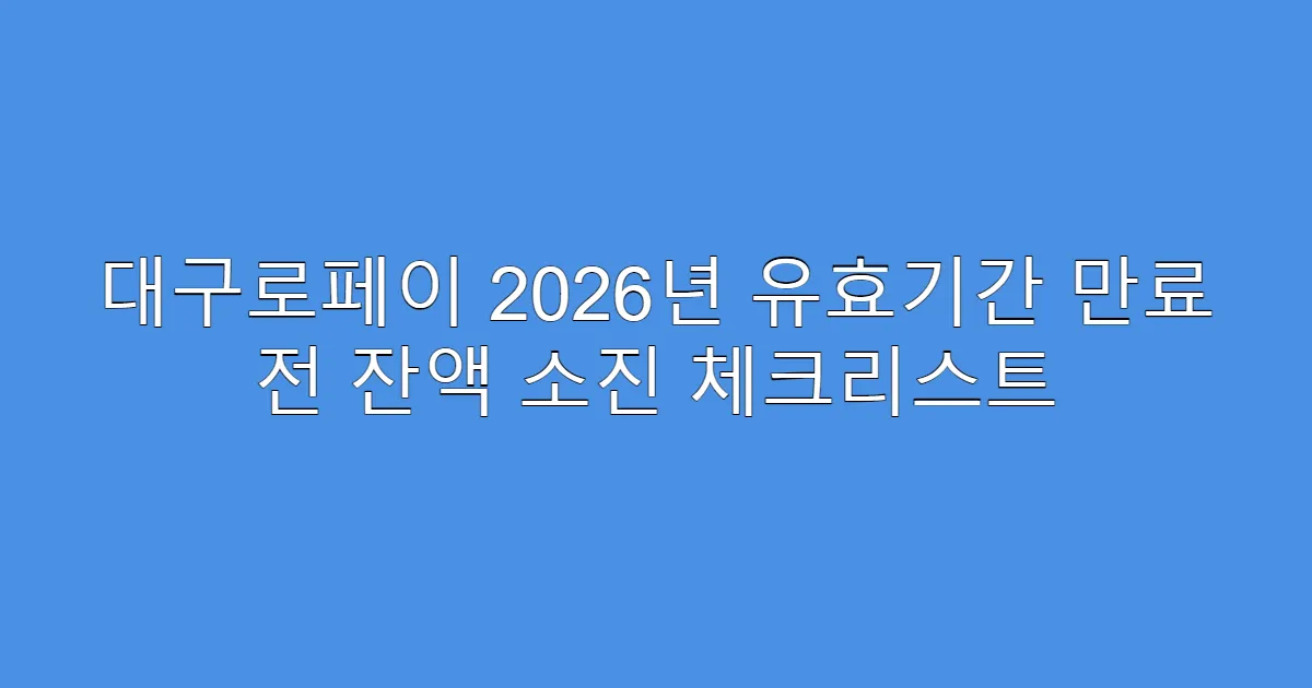 대구로페이 2026년 유효기간 만료 전 잔액 소진 체크리스트