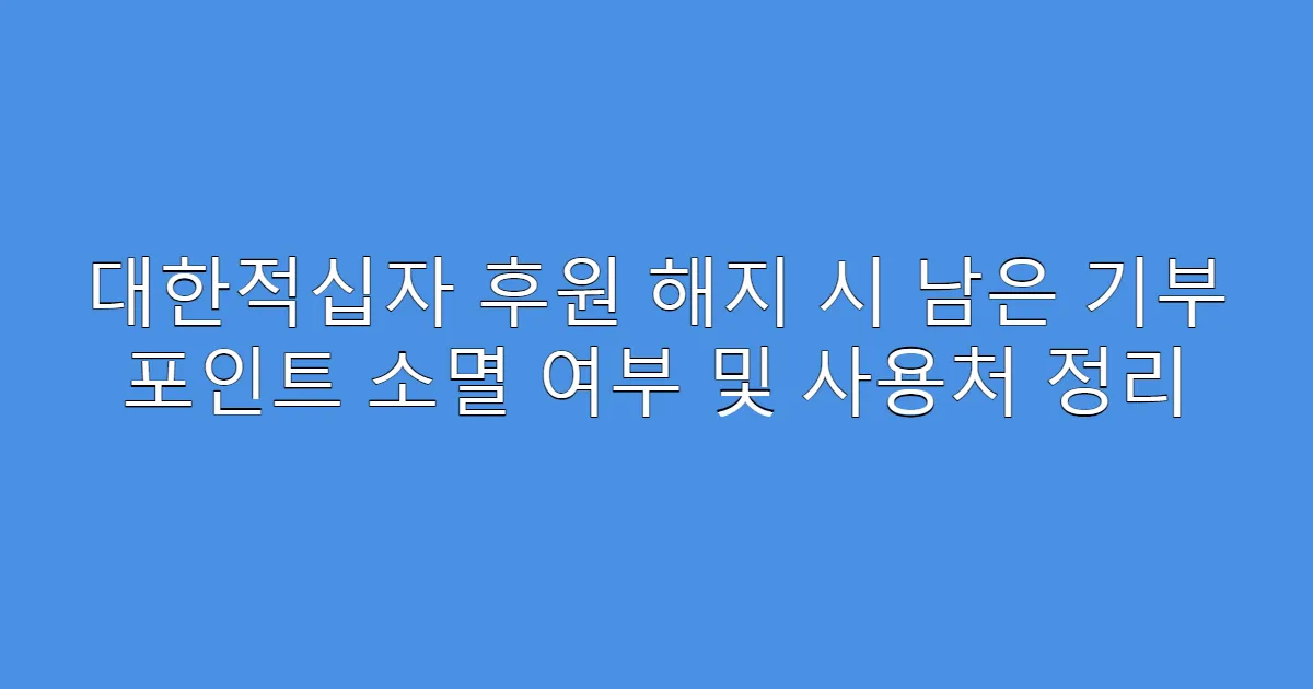 대한적십자 후원 해지 시 남은 기부 포인트 소멸 여부 및 사용처 정리
