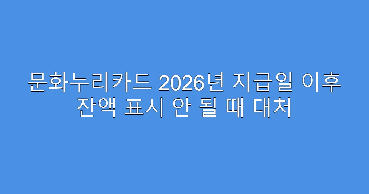 문화누리카드 2026년 지급일 이후 잔액 표시 안 될 때 대처