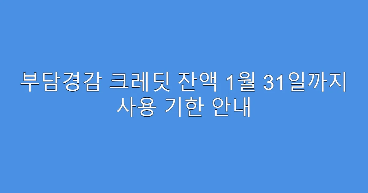 부담경감 크레딧 잔액 1월 31일까지 사용 기한 안내