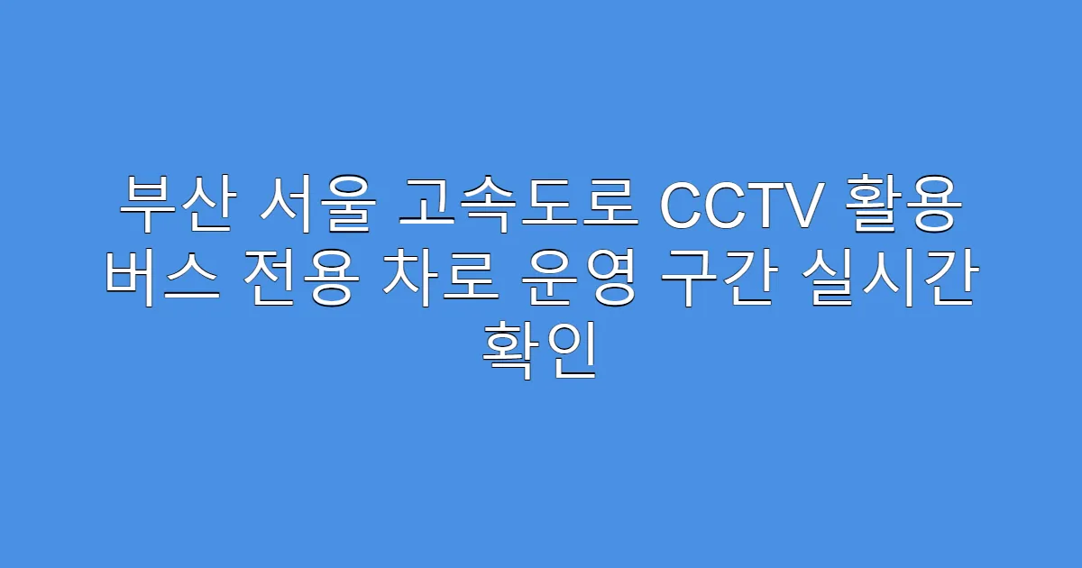 부산 서울 고속도로 CCTV 활용 버스 전용 차로 운영 구간 실시간 확인