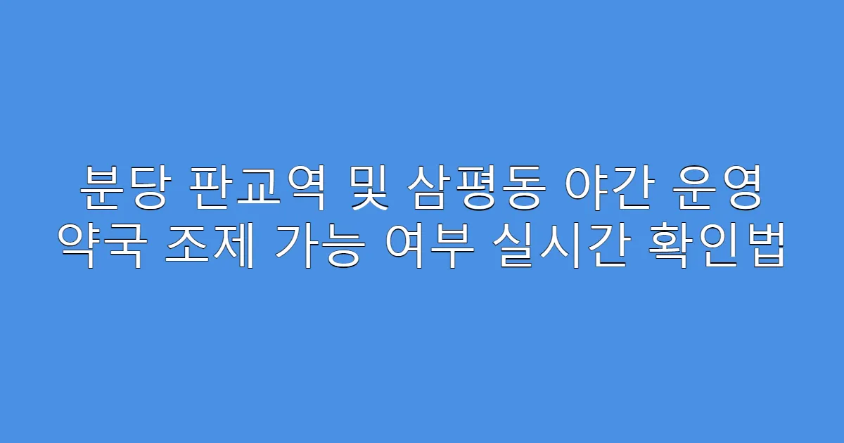 분당 판교역 및 삼평동 야간 운영 약국 조제 가능 여부 실시간 확인법