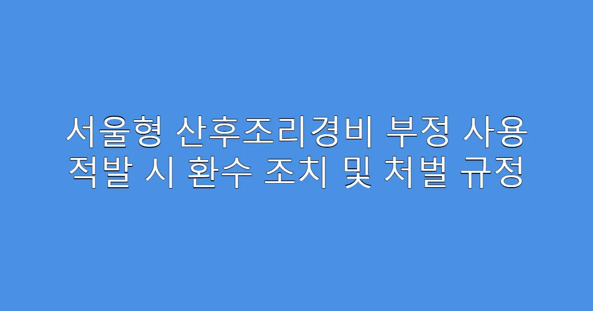 서울형 산후조리경비 부정 사용 적발 시 환수 조치 및 처벌 규정