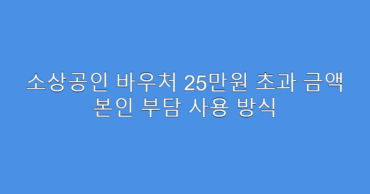 소상공인 바우처 25만원 초과 금액 본인 부담 사용 방식