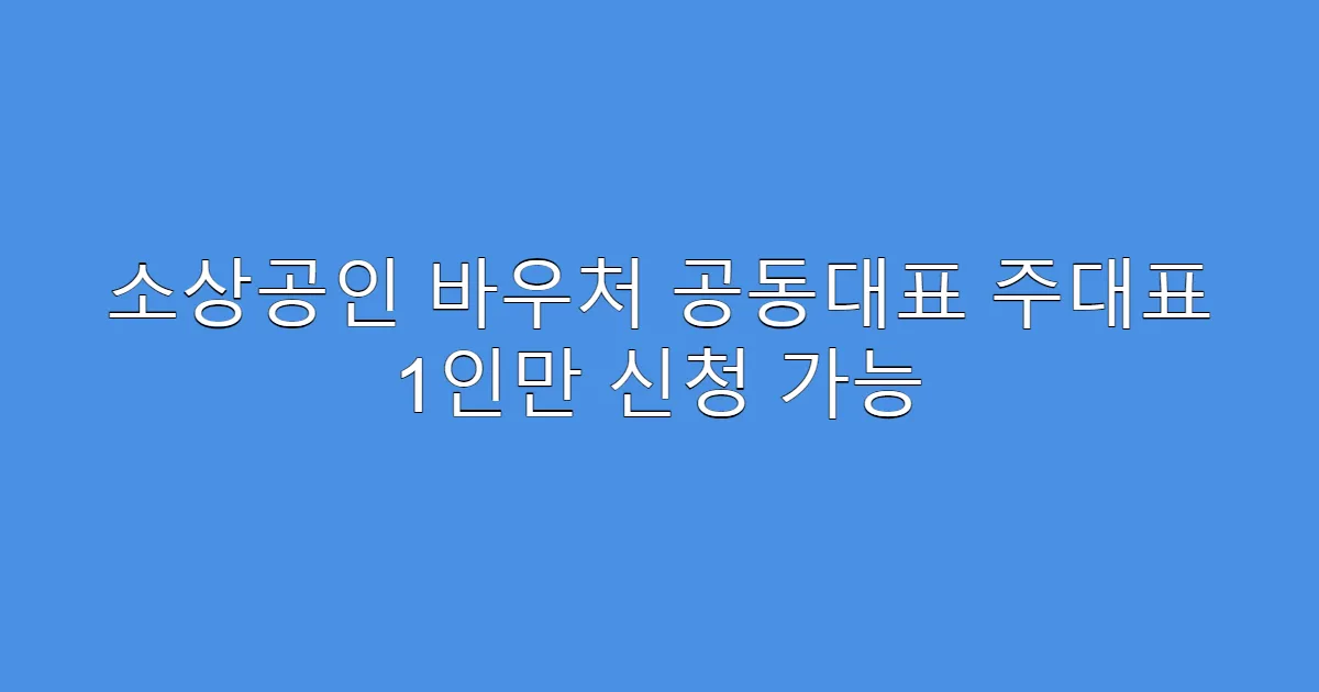 소상공인 바우처 공동대표 주대표 1인만 신청 가능