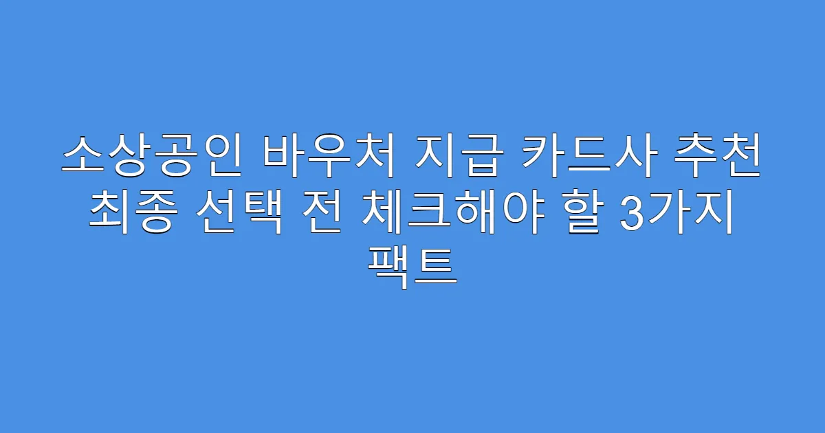 소상공인 바우처 지급 카드사 추천 최종 선택 전 체크해야 할 3가지 팩트