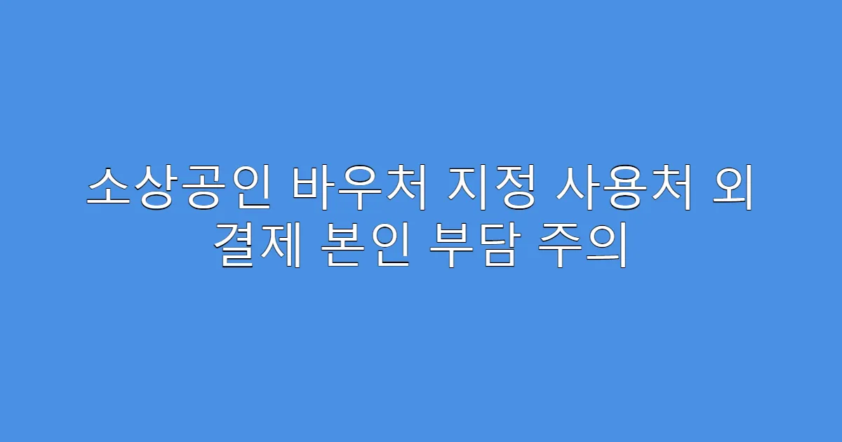 소상공인 바우처 지정 사용처 외 결제 본인 부담 주의