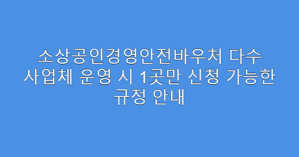 소상공인경영안전바우처 다수 사업체 운영 시 1곳만 신청 가능한 규정 안내