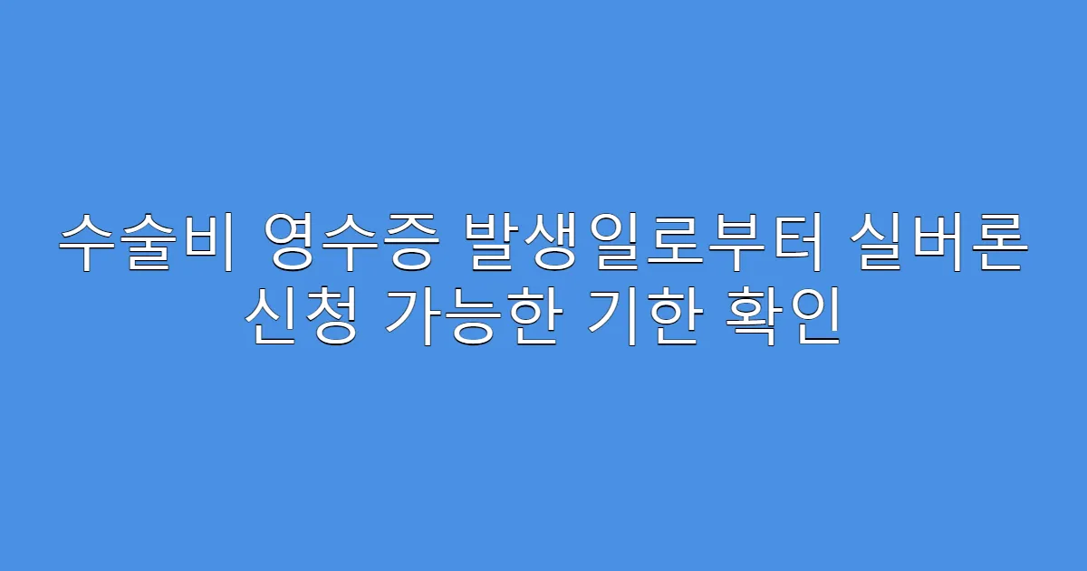 수술비 영수증 발생일로부터 실버론 신청 가능한 기한 확인