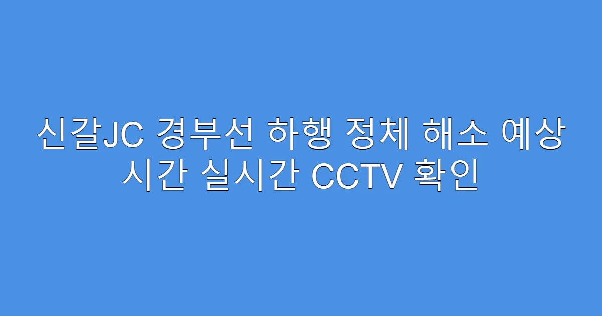 신갈JC 경부선 하행 정체 해소 예상 시간 실시간 CCTV 확인