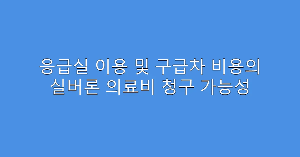 응급실 이용 및 구급차 비용의 실버론 의료비 청구 가능성