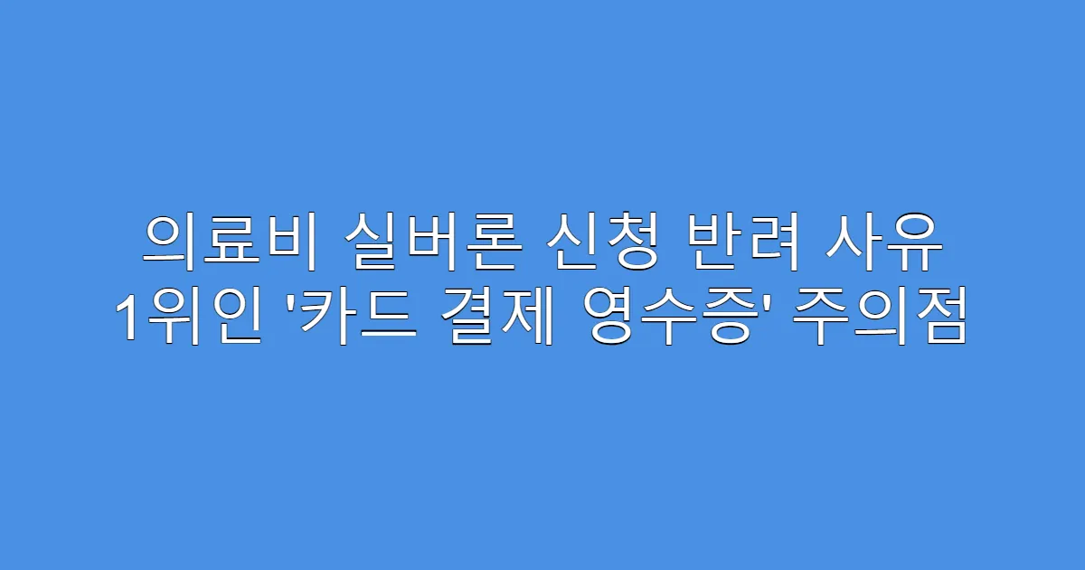의료비 실버론 신청 반려 사유 1위인 ‘카드 결제 영수증’ 주의점