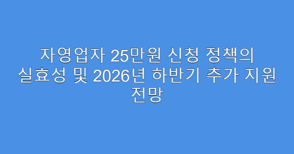 자영업자 25만원 신청 정책의 실효성 및 2026년 하반기 추가 지원 전망