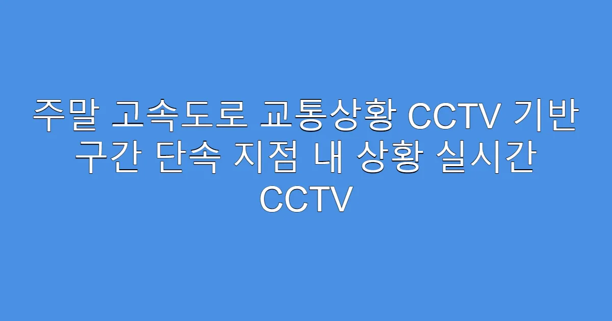 주말 고속도로 교통상황 CCTV 기반 구간 단속 지점 내 상황 실시간 CCTV