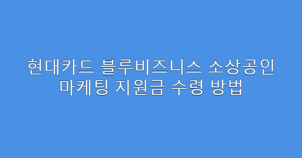 현대카드 블루비즈니스 소상공인 마케팅 지원금 수령 방법
