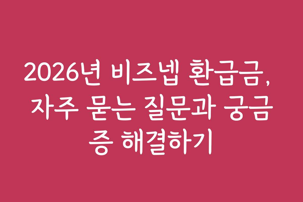 2026년 비즈넵 환급금, 자주 묻는 질문과 궁금증 해결하기