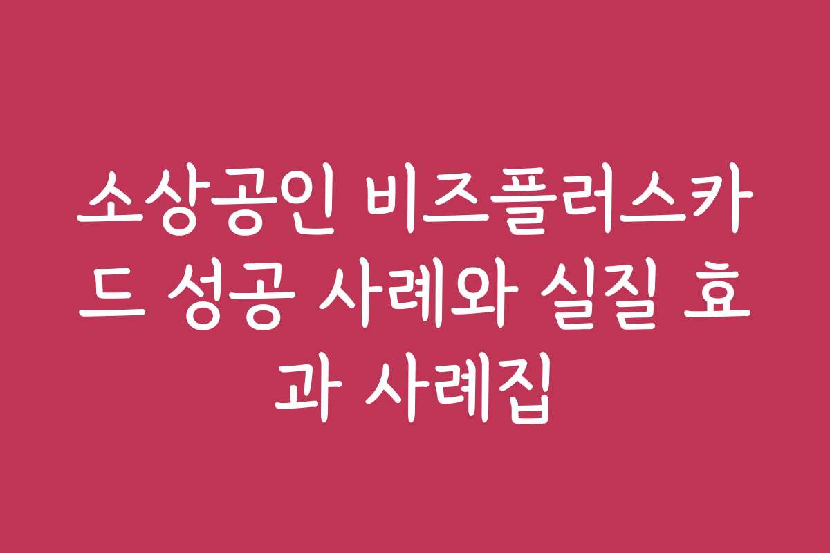 소상공인 비즈플러스카드 성공 사례와 실질 효과 사례집