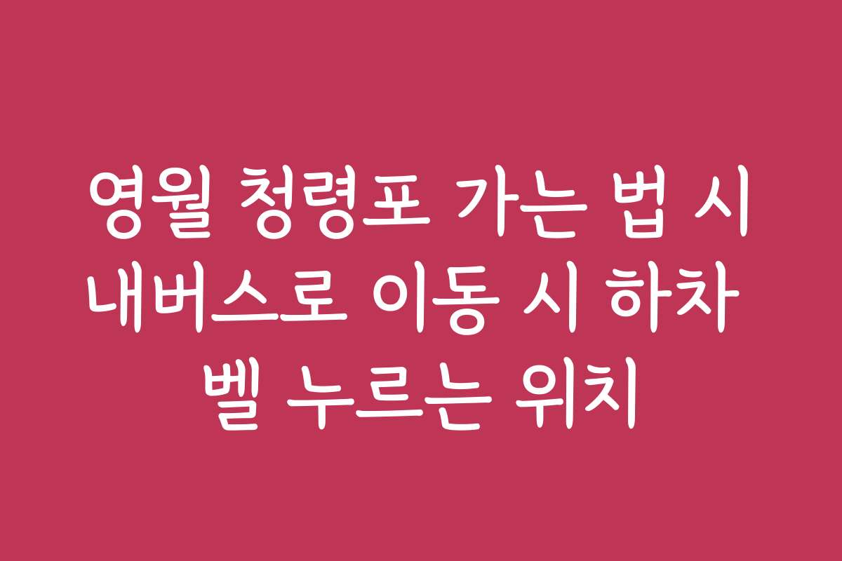 영월 청령포 가는 법 시내버스로 이동 시 하차 벨 누르는 위치