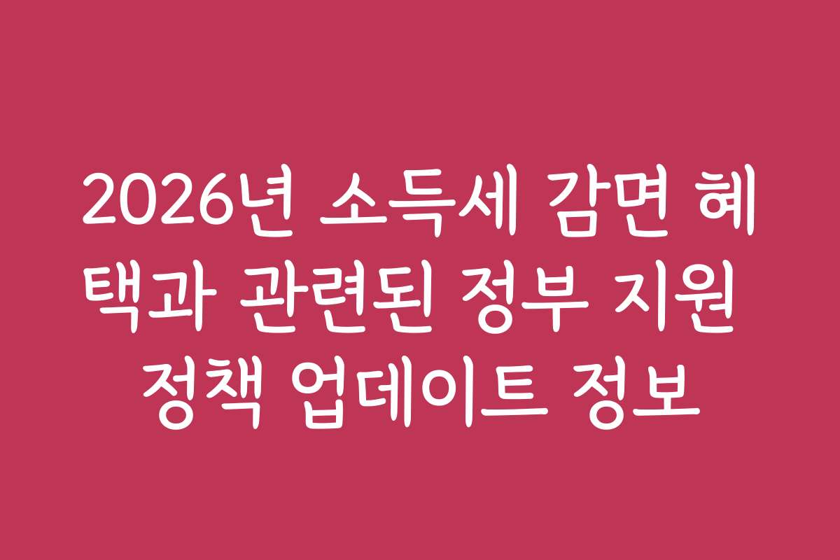 2026년 소득세 감면 혜택과 관련된 정부 지원 정책 업데이트 정보