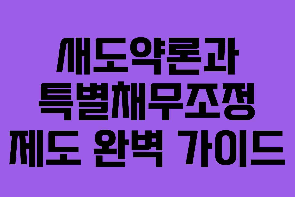 새도약론과 특별채무조정 제도 완벽 가이드