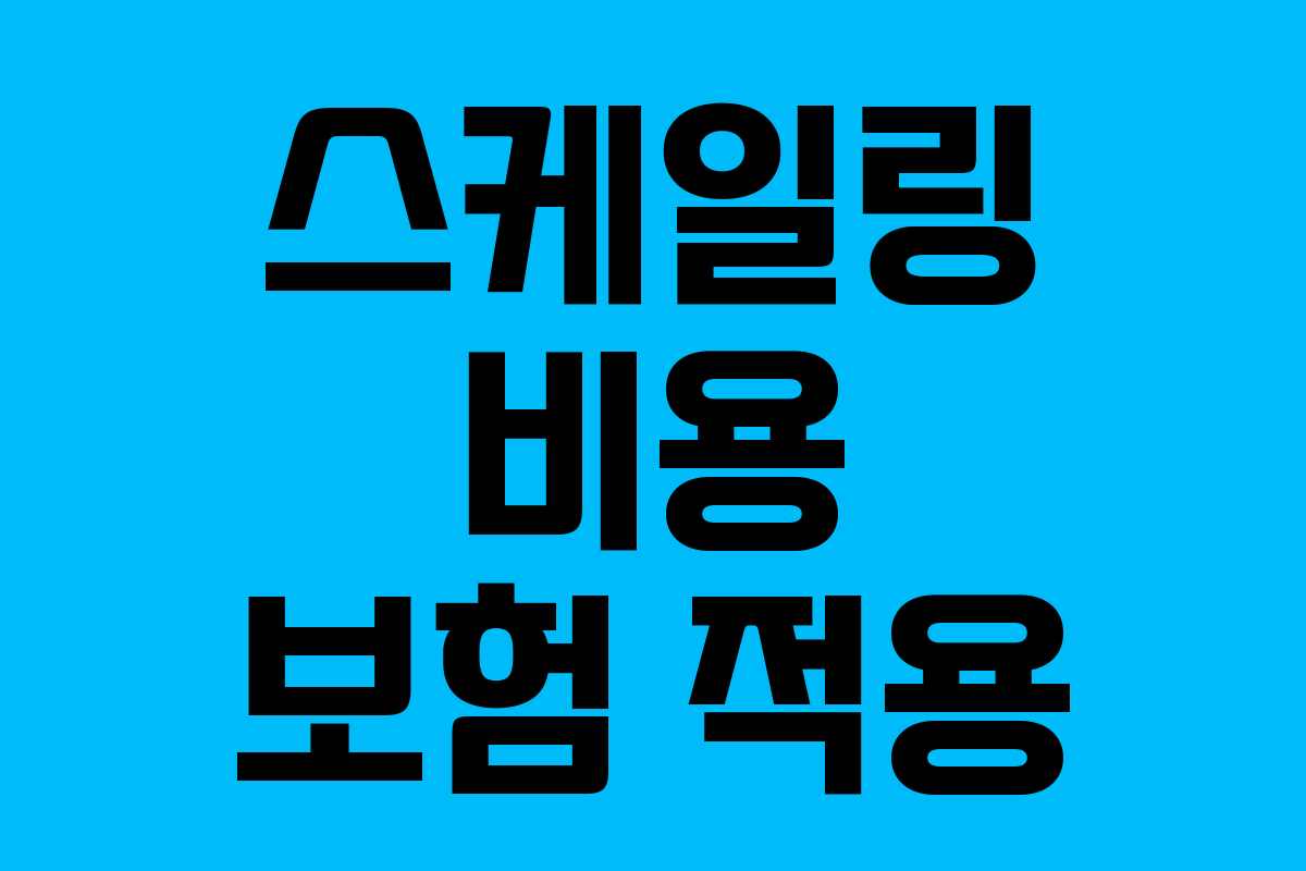 스케일링 비용 보험 적용