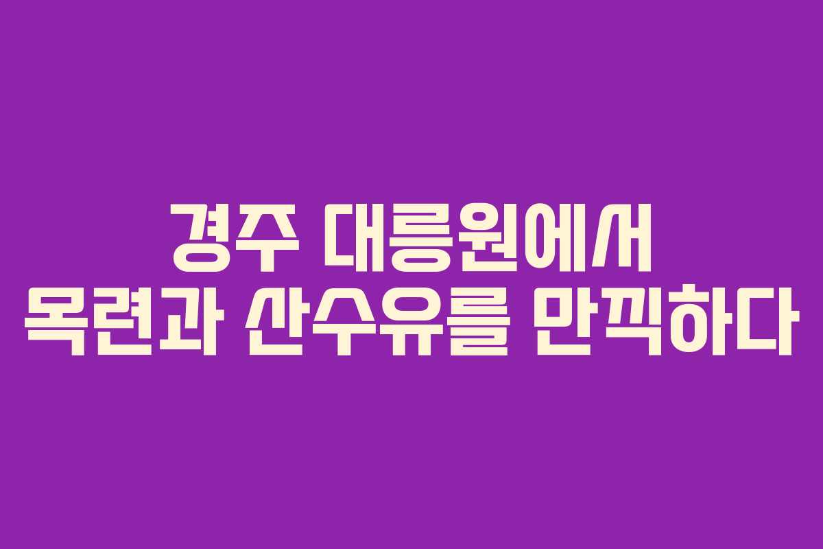 경주 대릉원에서 목련과 산수유를 만끽하다