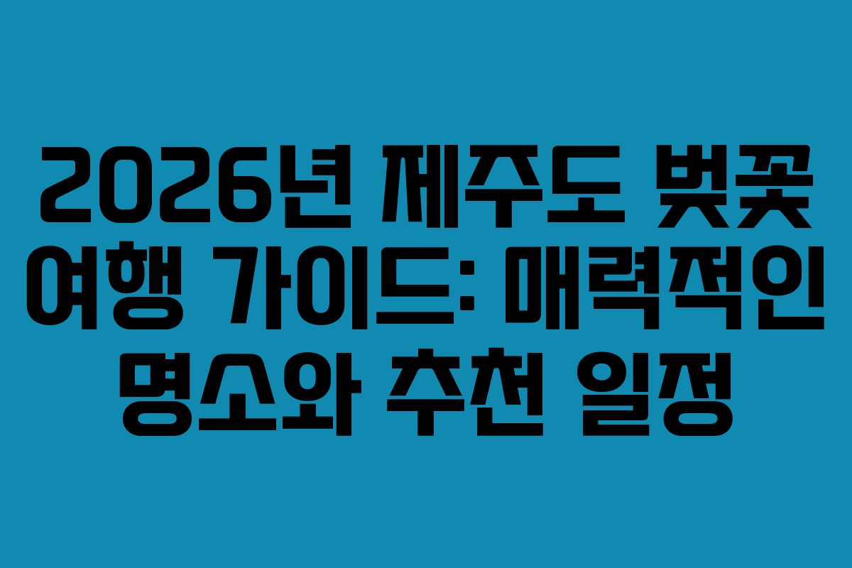 2026년 제주도 벚꽃 여행 가이드: 매력적인 명소와 추천 일정