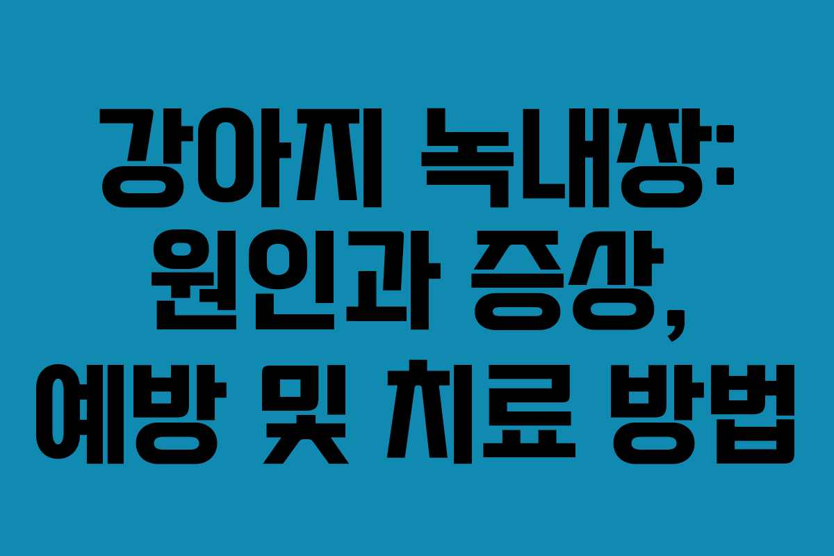 강아지 녹내장: 원인과 증상, 예방 및 치료 방법