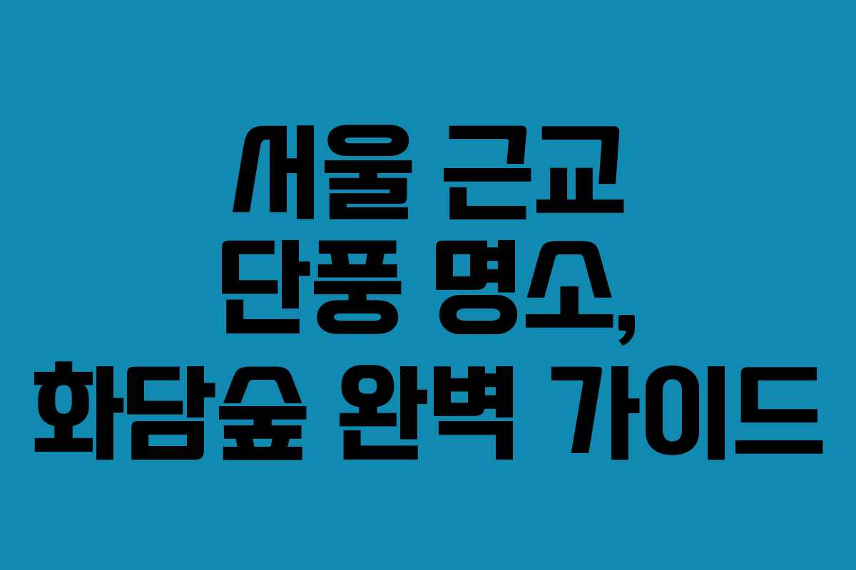 서울 근교 단풍 명소, 화담숲 완벽 가이드