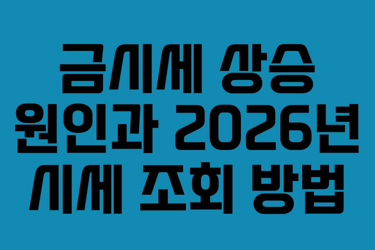 금시세 상승 원인과 2026년 시세 조회 방법